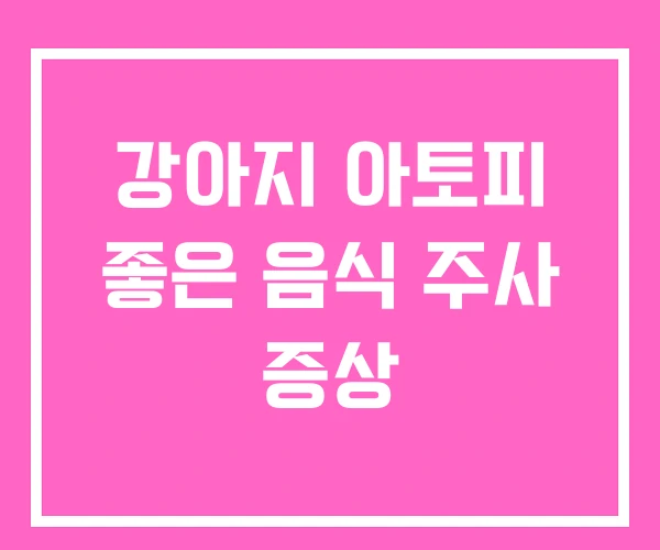 강아지 아토피 좋은 음식 주사 증상