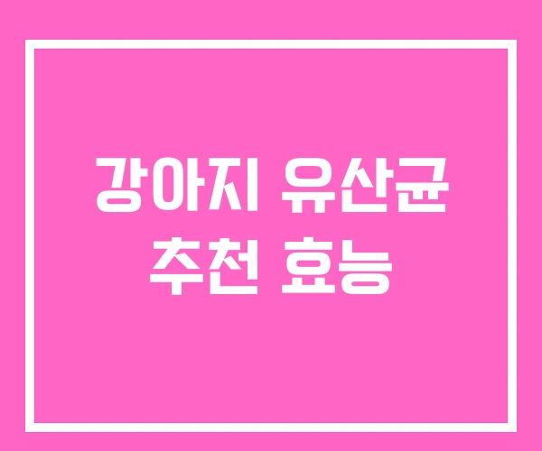 강아지 유산균 추천 효능