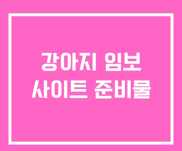 강아지 임보 사이트 준비물