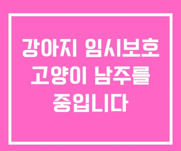강아지 임시보호 고양이 남주를 중입니다