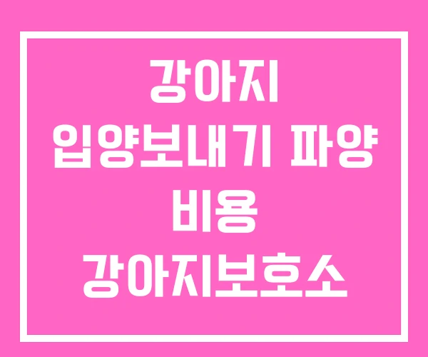 강아지 입양보내기 파양 비용 강아지보호소