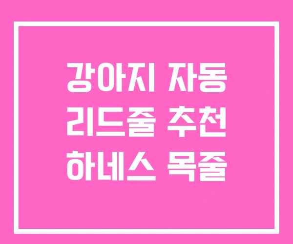 강아지 자동 리드줄 추천 하네스 목줄