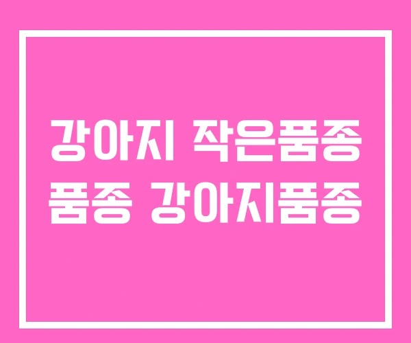 강아지 작은품종 품종 강아지품종