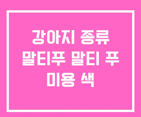 강아지 종류 말티푸 말티 푸 미용 색 강아지 종류 말티푸 말티 푸 미용 색