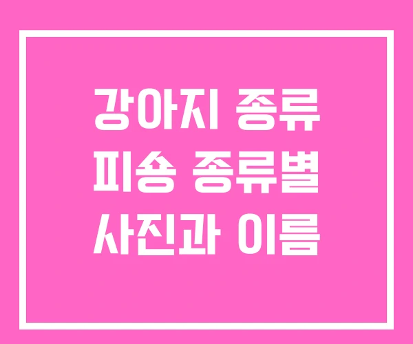 강아지 종류 피숑 종류별 사진과 이름 강아지 종류 피숑 종류별 사진과 이름