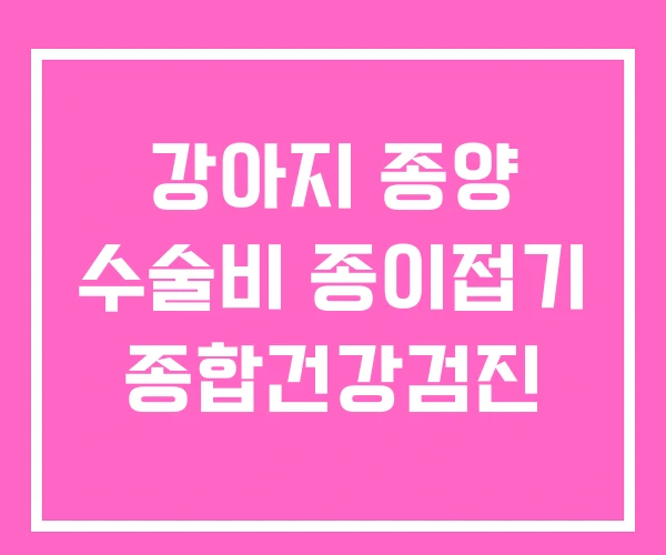 강아지 종양 수술비 종이접기 종합건강검진
