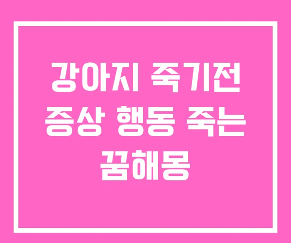 강아지 죽기전 증상 행동 죽는 꿈해몽