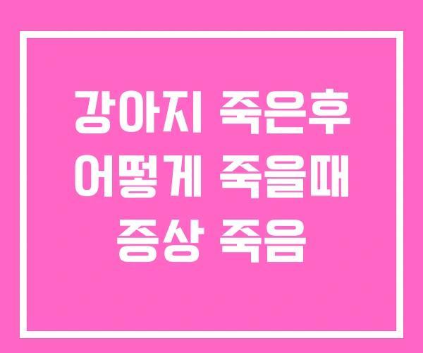 강아지 죽은후 어떻게 죽을때 증상 죽음