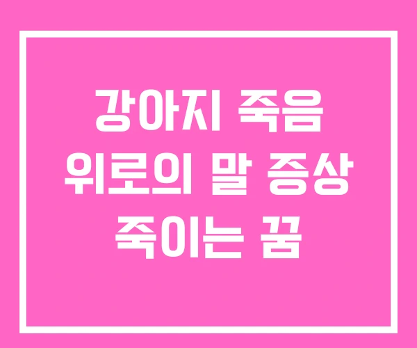 강아지 죽음 위로의 말 증상 죽이는 꿈 강아지 죽음 위로의 말 증상 죽이는 꿈