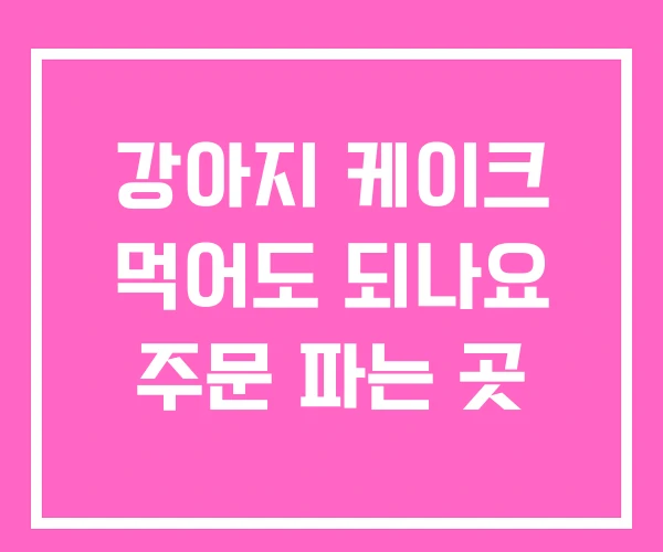 강아지 케이크 먹어도 되나요 주문 파는 곳