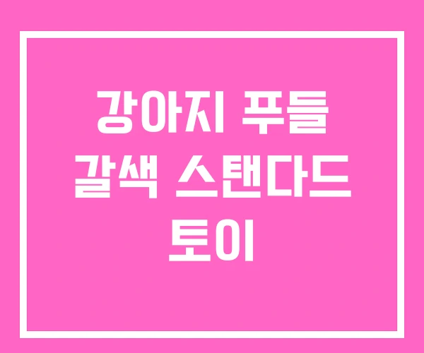 강아지 푸들 갈색 스탠다드 토이