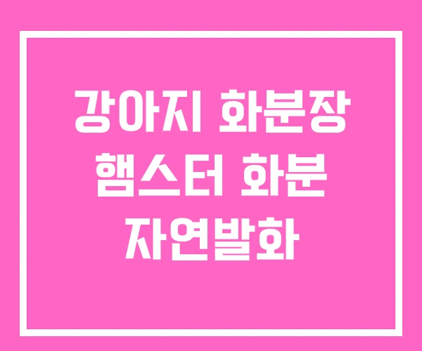 강아지 화분장 햄스터 화분 자연발화