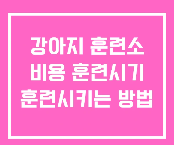 강아지 훈련소 비용 훈련시기 훈련시키는 방법