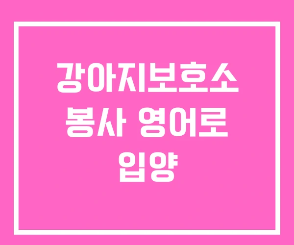 강아지보호소 봉사 영어로 입양