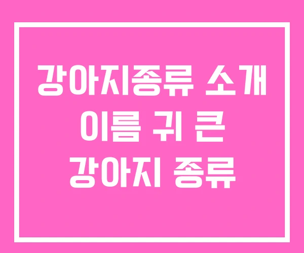 강아지종류 소개 이름 귀 큰 강아지 종류