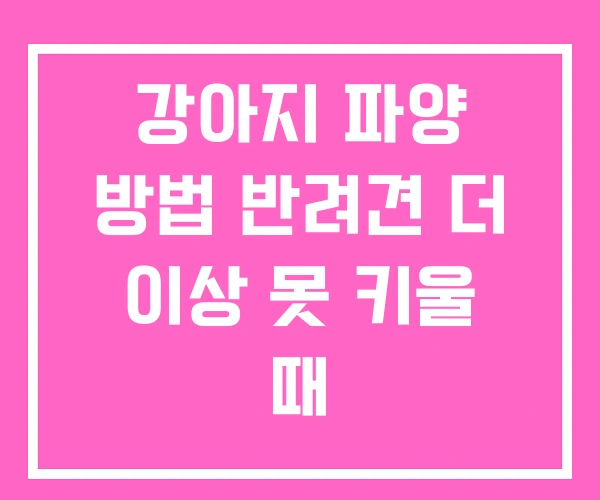 강아지 파양 방법 반려견 더 이상 못 키울 때 강아지 파양 방법 반려견 더 이상 못 키울 때
