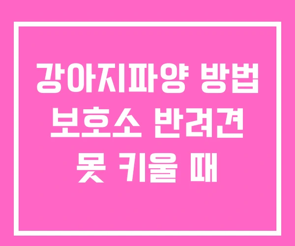 강아지파양 방법 보호소 반려견 못 키울 때