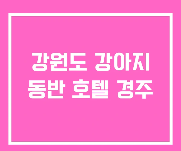 강원도 강아지 동반 호텔 경주 강원도 강아지 동반 호텔 경주