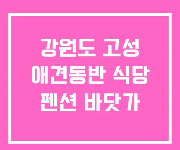 강원도 고성 애견동반 식당 펜션 바닷가