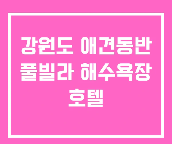 강원도 애견동반 풀빌라 해수욕장 호텔