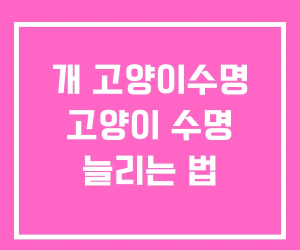 개 고양이수명 고양이 수명 늘리는 법