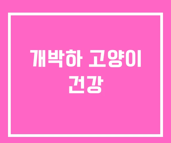 개박하 고양이 건강