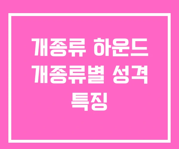 개종류 하운드 개종류별 성격 특징