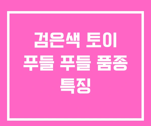 검은색 토이 푸들 푸들 품종 특징 검은색 토이 푸들 푸들 품종 특징