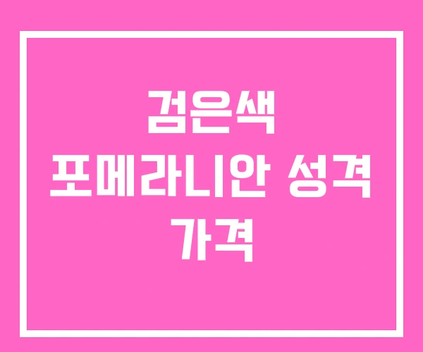 검은색 포메라니안 성격 가격