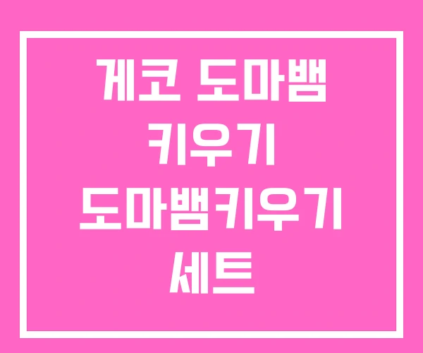 게코 도마뱀 키우기 도마뱀키우기 세트 게코 도마뱀 키우기 도마뱀키우기 세트