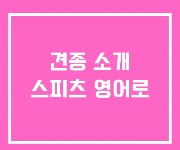 견종 소개 스피츠 영어로