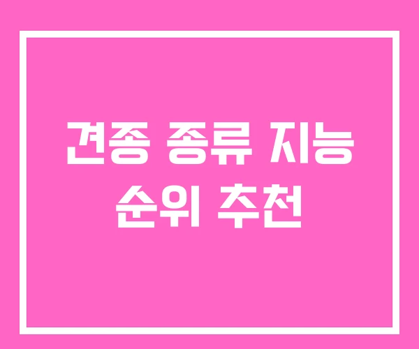 견종 종류 지능 순위 추천