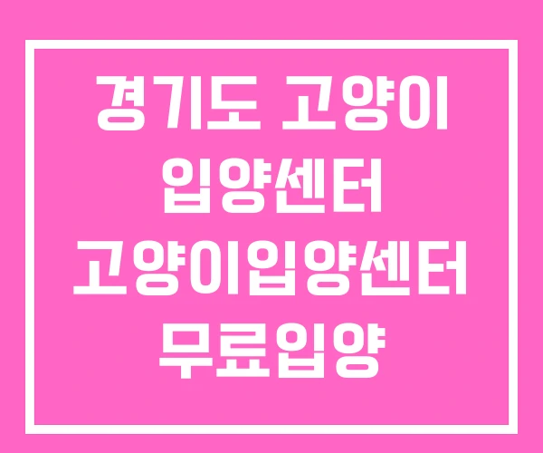 경기도 고양이 입양센터 고양이입양센터 무료입양
