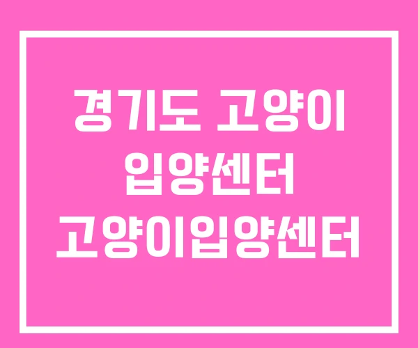 경기도 고양이 입양센터 고양이입양센터 경기도 고양이 입양센터 고양이입양센터