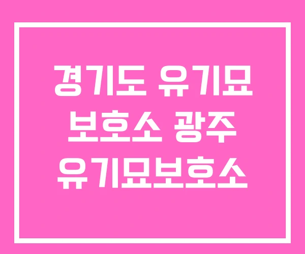 경기도 유기묘 보호소 광주 유기묘보호소