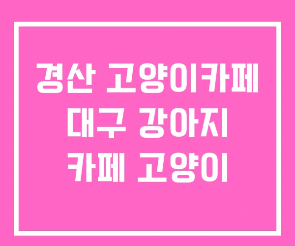 경산 고양이카페 대구 강아지 카페 고양이 경산 고양이카페 대구 강아지 카페 고양이