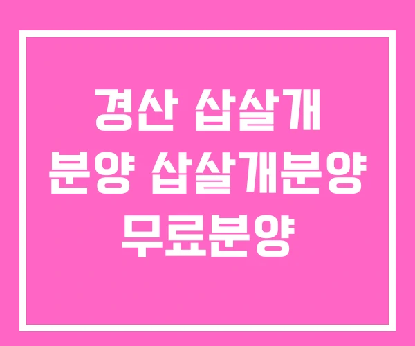 경산 삽살개 분양 삽살개분양 무료분양