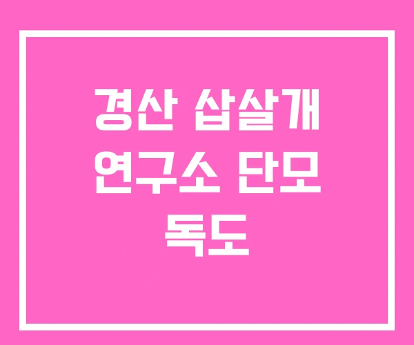 경산 삽살개 연구소 단모 독도 경산 삽살개 연구소 단모 독도