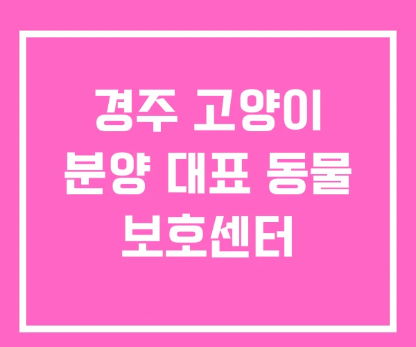 경주 고양이 분양 대표 동물 보호센터