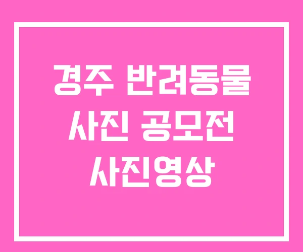 경주 반려동물 사진 공모전 사진영상