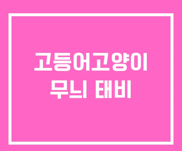 고등어고양이 무늬 태비