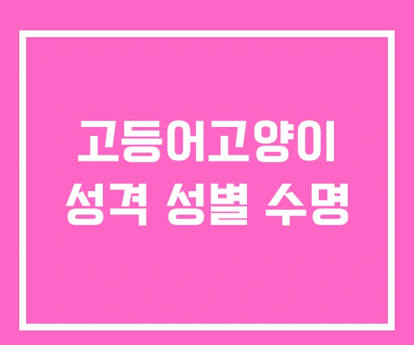 고등어고양이 성격 성별 수명