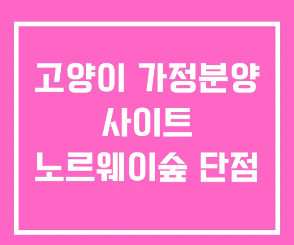 고양이 가정분양 사이트 노르웨이숲 단점 고양이 가정분양 사이트 노르웨이숲 단점