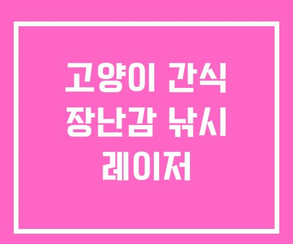고양이 간식 장난감 낚시 레이저 고양이 간식 장난감 낚시 레이저