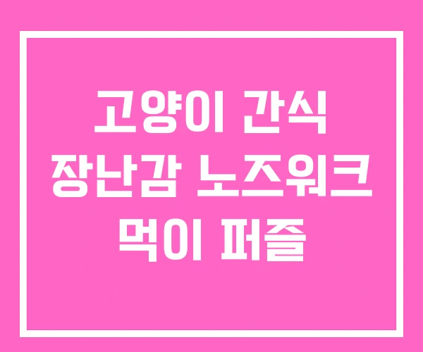 고양이 간식 장난감 노즈워크 먹이 퍼즐 고양이 간식 장난감 노즈워크 먹이 퍼즐
