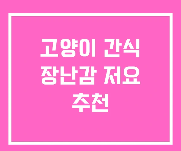 고양이 간식 장난감 저요 추천