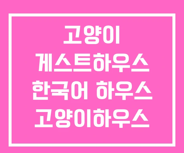 고양이 게스트하우스 한국어 하우스 고양이하우스