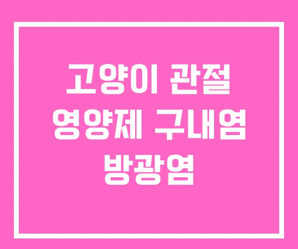 고양이 관절 영양제 구내염 방광염