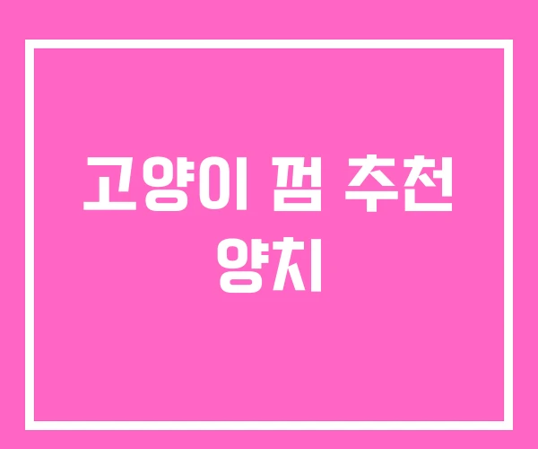 고양이 껌 추천 양치