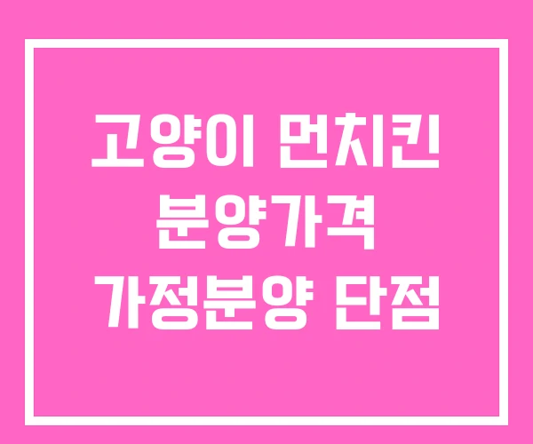고양이 먼치킨 분양가격 가정분양 단점 고양이 먼치킨 분양가격 가정분양 단점